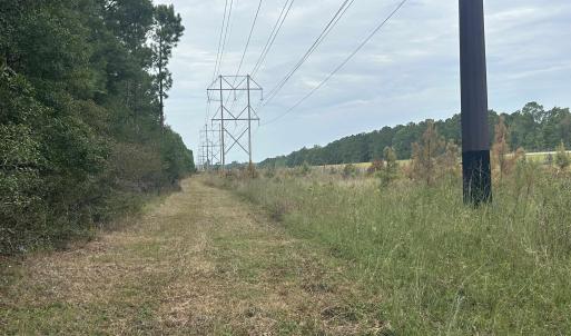 Photo #39 of TBD Highway 905, Conway, SC 87.3 acres