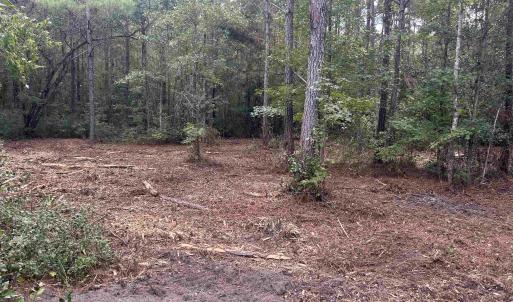 Photo #18 of TBD Highway 905, Conway, SC 87.3 acres