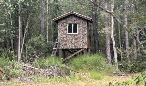 Photo #29 of TBD Highway 905, Conway, SC 87.3 acres