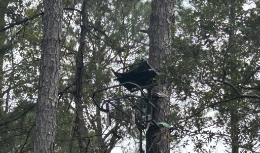 Photo #31 of TBD Highway 905, Conway, SC 87.3 acres