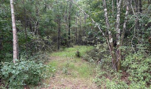 Photo #42 of TBD Highway 905, Conway, SC 87.3 acres