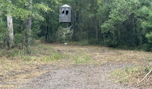 Photo #34 of TBD Highway 905, Conway, SC 87.3 acres