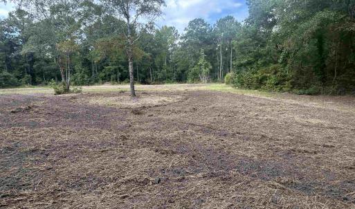 Photo #17 of TBD Highway 905, Conway, SC 87.3 acres