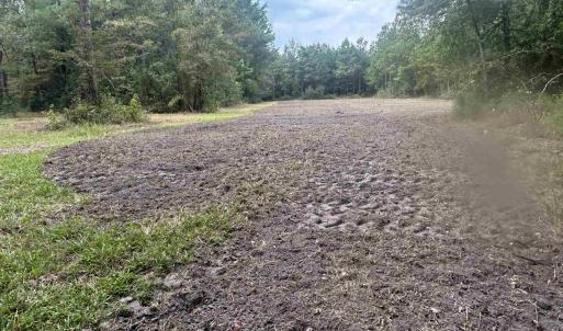 Photo #37 of TBD Highway 905, Conway, SC 87.3 acres
