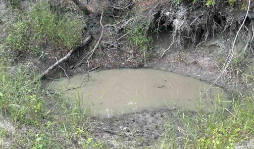 Photo #23 of TBD Highway 905, Conway, SC 87.3 acres