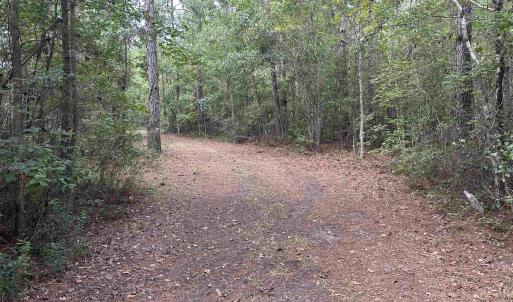 Photo #13 of TBD Highway 905, Conway, SC 87.3 acres