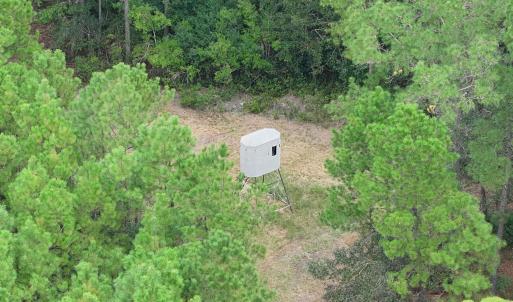 Photo #9 of TBD Highway 905, Conway, SC 87.3 acres