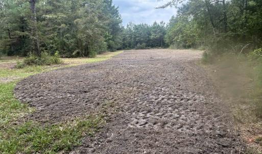 Photo #36 of TBD Highway 905, Conway, SC 87.3 acres