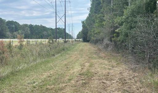 Photo #40 of TBD Highway 905, Conway, SC 87.3 acres