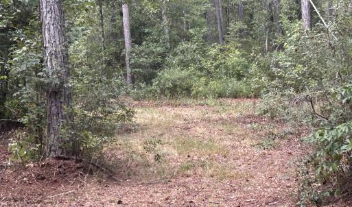 Photo #30 of TBD Highway 905, Conway, SC 87.3 acres