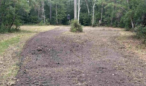 Photo #33 of TBD Highway 905, Conway, SC 87.3 acres