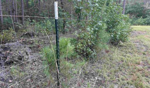 Photo #19 of TBD Highway 905, Conway, SC 87.3 acres