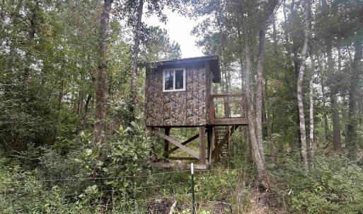 Photo #26 of TBD Highway 905, Conway, SC 87.3 acres