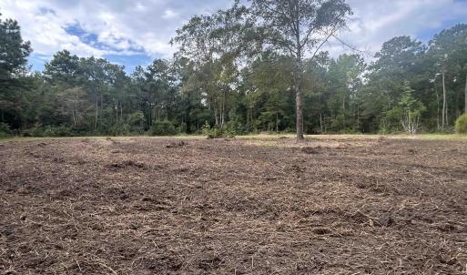 Photo #16 of TBD Highway 905, Conway, SC 87.3 acres