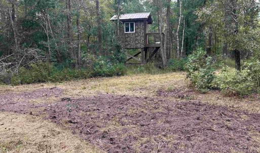 Photo #27 of TBD Highway 905, Conway, SC 87.3 acres