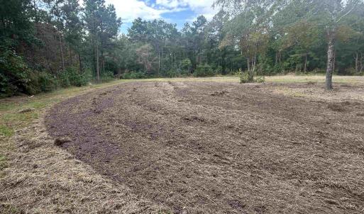 Photo #15 of TBD Highway 905, Conway, SC 87.3 acres