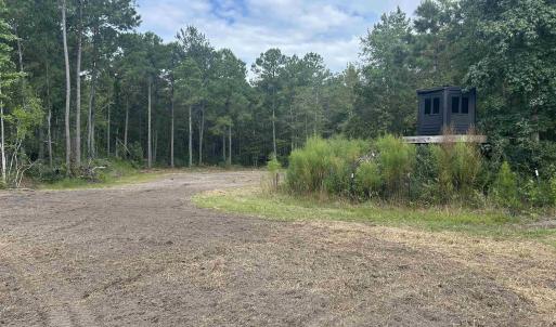 Photo #22 of TBD Highway 905, Conway, SC 87.3 acres