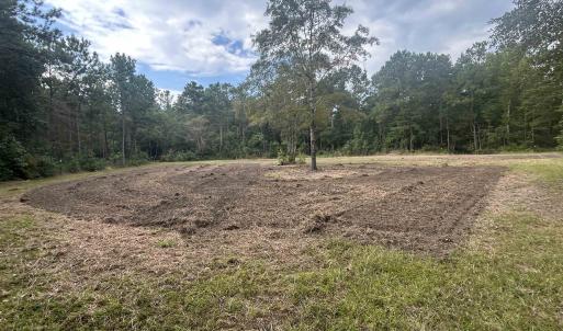 Photo #14 of TBD Highway 905, Conway, SC 87.3 acres