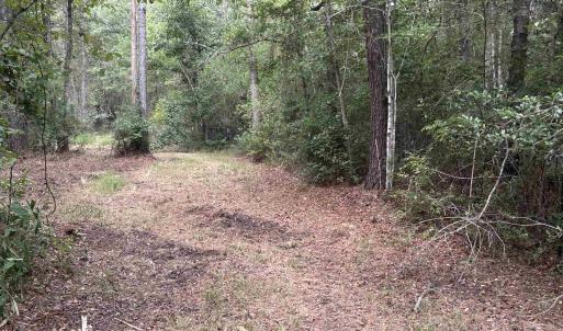 Photo #28 of TBD Highway 905, Conway, SC 87.3 acres