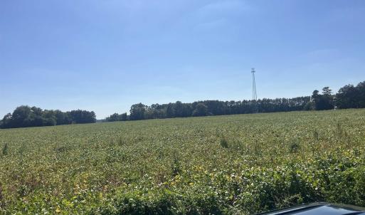 Photo #8 of Highway 38, Blenheim, SC 60.2 acres