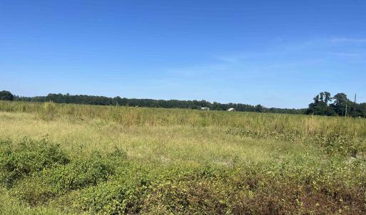 Photo #2 of Highway 38, Blenheim, SC 60.2 acres