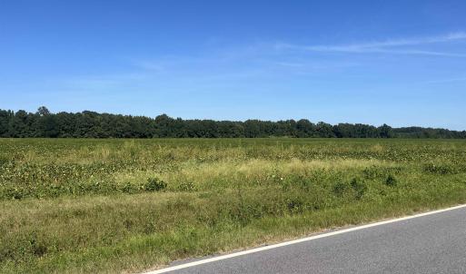 Photo #6 of Highway 38, Blenheim, SC 60.2 acres