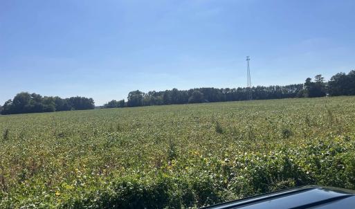Photo #9 of Highway 38, Blenheim, SC 60.2 acres