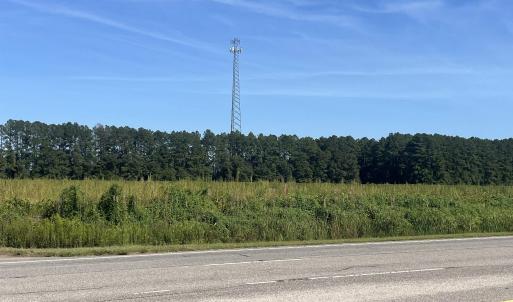 Photo #15 of Highway 38, Blenheim, SC 60.2 acres