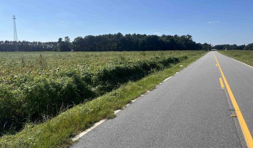 Photo #11 of Highway 38, Blenheim, SC 60.2 acres