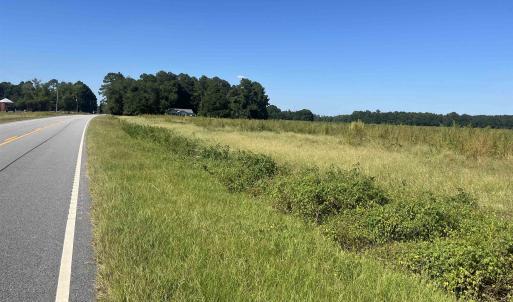 Photo #3 of Highway 38, Blenheim, SC 60.2 acres