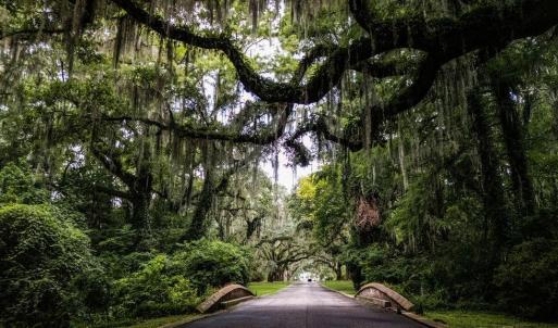 Photo #4 of Cabaniss Ln., Pawleys Island, SC 0.7 acres