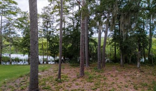 Photo #1 of Cabaniss Ln., Pawleys Island, SC 0.7 acres