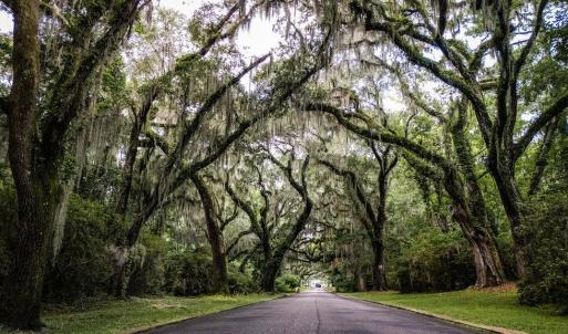 Photo #3 of Cabaniss Ln., Pawleys Island, SC 0.7 acres