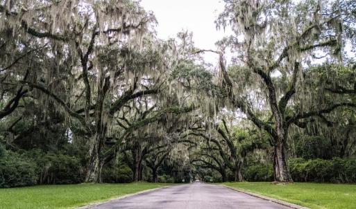 Photo #5 of Cabaniss Ln., Pawleys Island, SC 0.7 acres