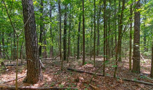 Photo #41 of 7000 John Furr Rd, Concord, NC 25.0 acres