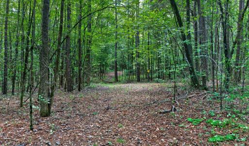 Photo #30 of 7000 John Furr Rd, Concord, NC 25.0 acres