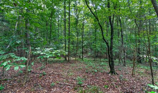Photo #43 of 7000 John Furr Rd, Concord, NC 25.0 acres