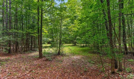 Photo #34 of 7000 John Furr Rd, Concord, NC 25.0 acres