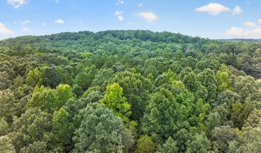 Photo #14 of 7000 John Furr Rd, Concord, NC 25.0 acres