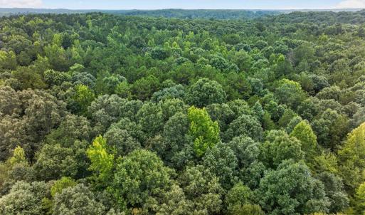 Photo #13 of 7000 John Furr Rd, Concord, NC 25.0 acres
