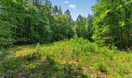 Photo #28 of 7000 John Furr Rd, Concord, NC 25.0 acres