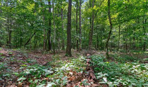 Photo #36 of 7000 John Furr Rd, Concord, NC 25.0 acres
