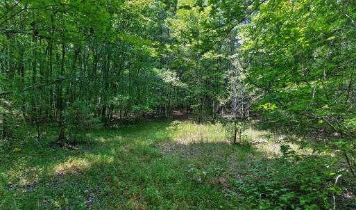 Photo #33 of 7000 John Furr Rd, Concord, NC 25.0 acres