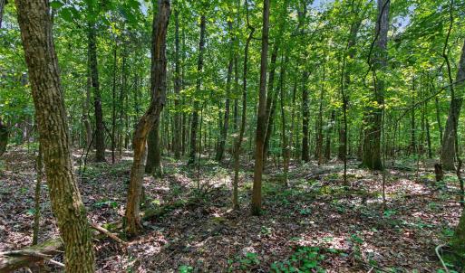 Photo #26 of 7000 John Furr Rd, Concord, NC 25.0 acres