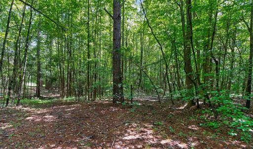 Photo #40 of 7000 John Furr Rd, Concord, NC 25.0 acres