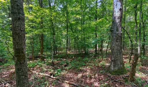 Photo #35 of 7000 John Furr Rd, Concord, NC 25.0 acres