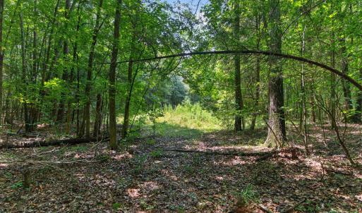 Photo #27 of 7000 John Furr Rd, Concord, NC 25.0 acres