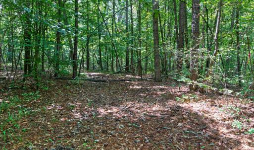 Photo #37 of 7000 John Furr Rd, Concord, NC 25.0 acres