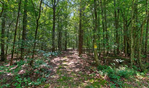 Photo #29 of 7000 John Furr Rd, Concord, NC 25.0 acres