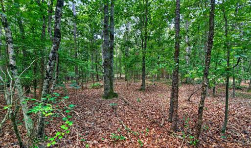 Photo #42 of 7000 John Furr Rd, Concord, NC 25.0 acres